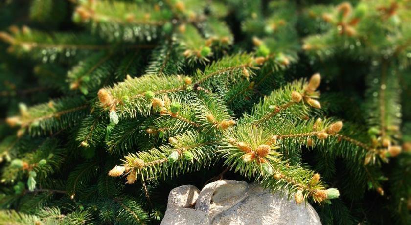 Гостевой дом Alliat Судак-17