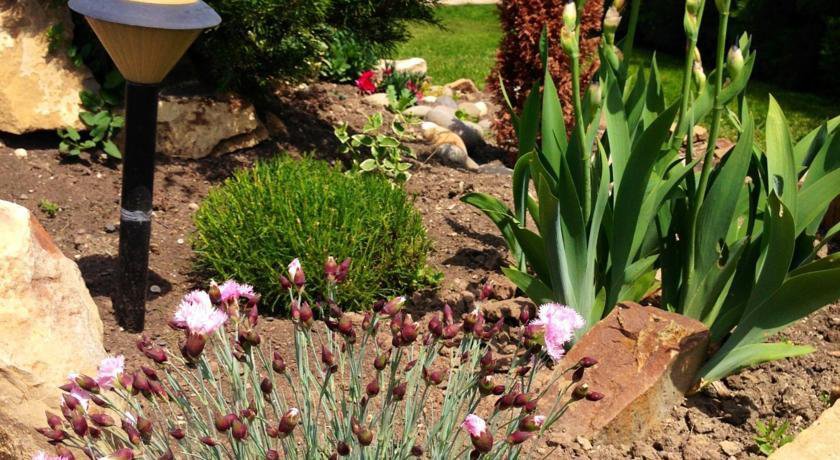 Гостевой дом Alliat Судак-28