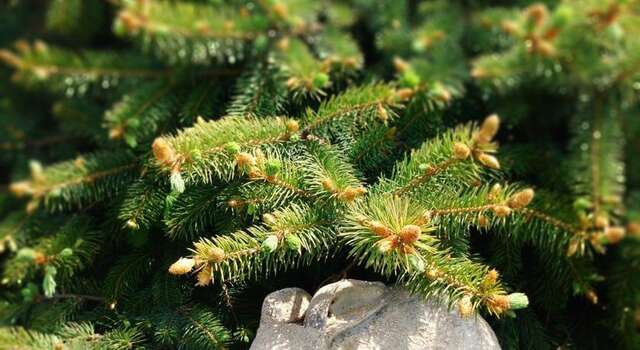 Гостевой дом Alliat Судак-16