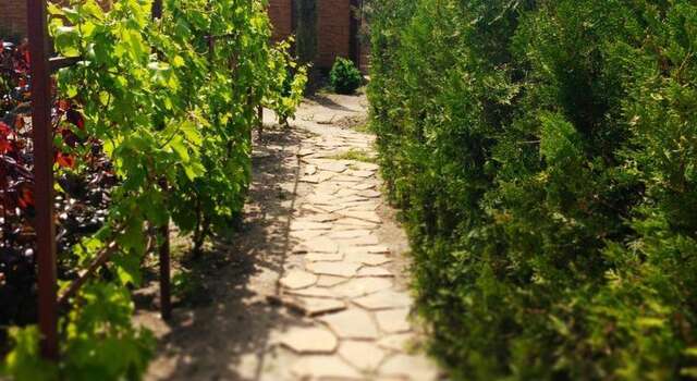 Гостевой дом Alliat Судак-10